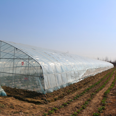 100m Length Plastic High Tunnel Farming Polyethylene Film Greenhouse For Crop Growth