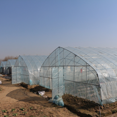 Arch Outdoor Chinese Tunnel Plastic Greenhouse Transparent For Cultivation