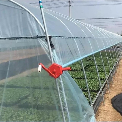 Galvanized Steel Frame Tunnel Plastic Film Greenhouse for Vegetables Plants Grow