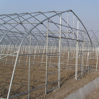 Automated Single Layer High Tunnel Passive Solar Greenhouse For Strawberry