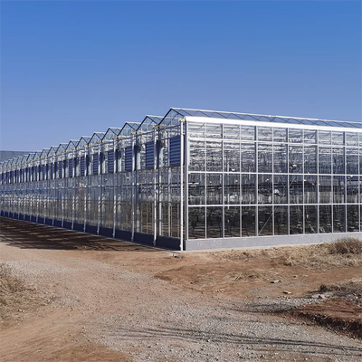 Polycarbonate Hollow Board Glass Industrial Outdoor Multispan Glass Professional Dutch Greenhouse For Flower Planting