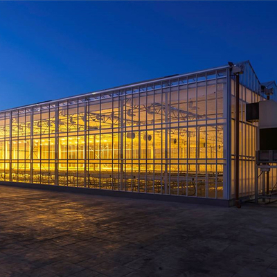 High Venlo Type Greenhouse Strong Commercial Multi Span Glass Covered