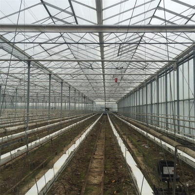 Insulated Tempered Glass Greenhouse Sunlight Venlo Greenhouse For Horticulture