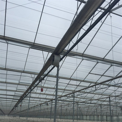 Insulated Tempered Glass Greenhouse Sunlight Venlo Greenhouse For Horticulture