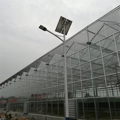 Cold Frame Venlo Glass High Tunnel Greenhouse Auto Controlled With Hydroponic Growing System