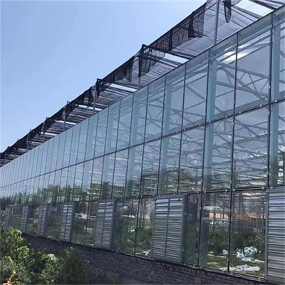 Cold Frame High Tunnel Venlo Glass Greenhouse With Hydroponic Growing System