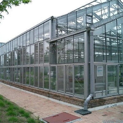 Hot Dip Galvanizing Steel Frame Photovoltaic Solar Venlo Glass Greenhouse Multi Span