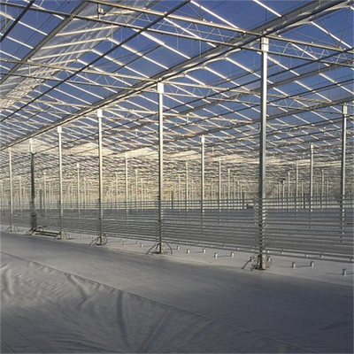 Hot Dip Galvanizing Steel Frame Photovoltaic Solar Venlo Glass Greenhouse Multi Span