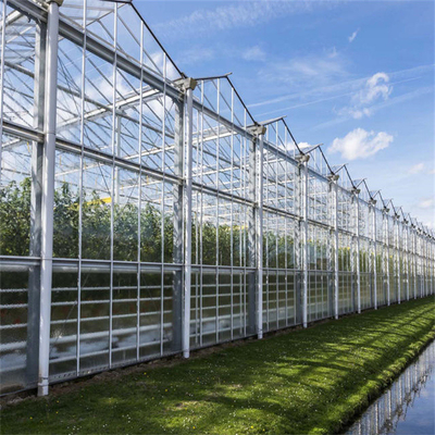 Hot Dip Galvanizing Steel Frame Photovoltaic Solar Venlo Glass Greenhouse Multi Span