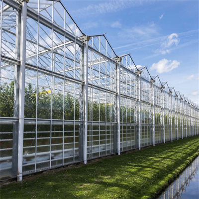 Venlo Type Plastic Tunnel Greenhouse High Strong Structure ISO9001 Certificate