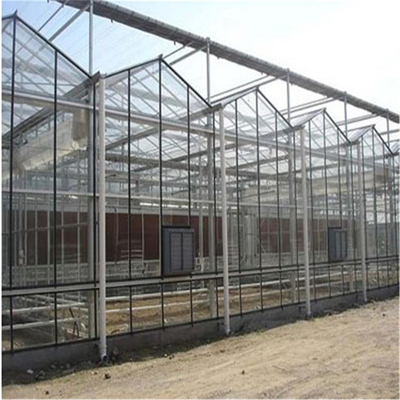 Glass Multi Span Greenhouse Tropical Solar Hydroponic Flower Vegetable Growing