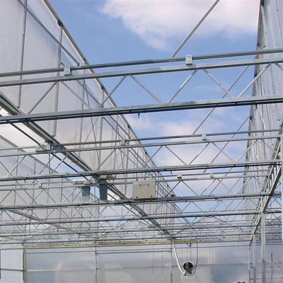 Tempered Glass Panel Venlo Type Greenhouse Multispan For Vegetables Hydroponic