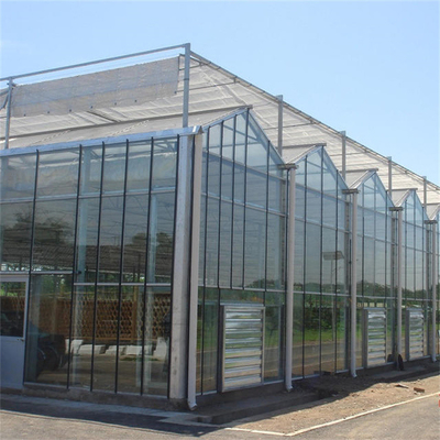 Tempered Glass Panel Venlo Type Greenhouse Multispan For Vegetables Hydroponic