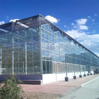 Metal Frame Polytunnel Glass Venlo Type Greenhouse Stabilized 60x90m