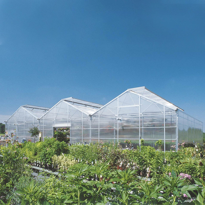 Polycarbonate Multi Span PC Sheet Greenhouse Automatic Plants Growing