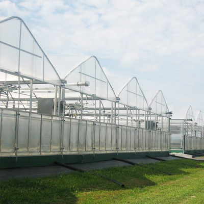 Industrial Polycarbonate Sheet Greenhouse Multi Span 8mm PC Panels For Flower