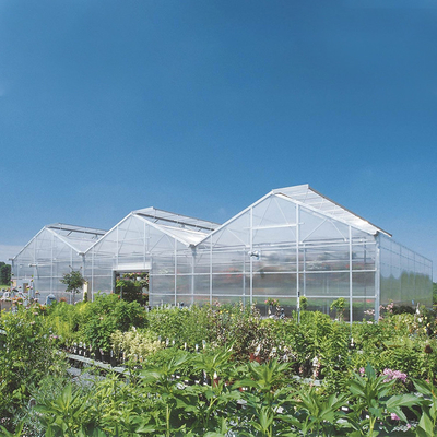 Industrial Polycarbonate Sheet Greenhouse Multi Span 8mm PC Panels For Flower