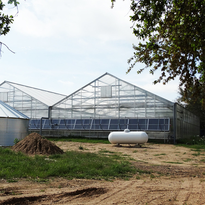 Industrial Polycarbonate Sheet Greenhouse Multi Span 8mm PC Panels For Flower