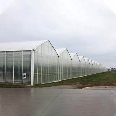 Commercial Hydroponics Polycarbonate PC Sheet Greenhouse Frames Multi Span