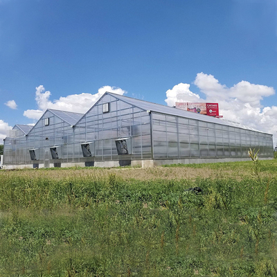 Venlo Commercial Multi Span Steel Structure Polycarbonate Sheet Greenhouse