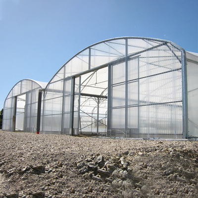 Large Polycarbonate Film Greenhouse / Multi Span Greenhouse Multi Functional