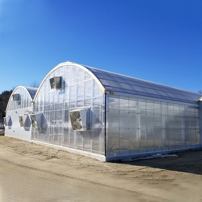 Agricultural Polycarbonate Film Greenhouse Turnkey Project Serre Agricole Intelligent