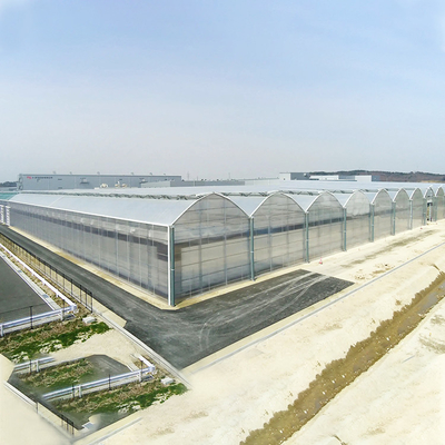 Agricultural Polycarbonate Sheet Greenhouse Turnkey Project Serre Agricole Intelligent