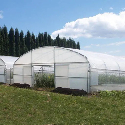 Plastic Sheet Uv 200 Microns Single Span Greenhouse For Tropical Climate