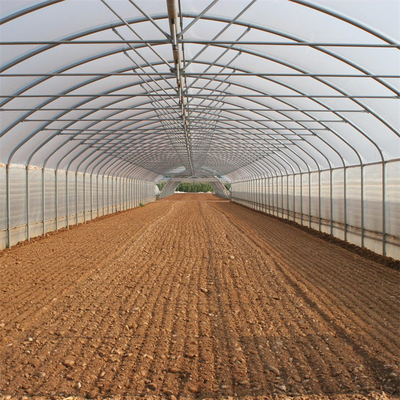 Plastic Sheet Uv 200 Microns Single Span Greenhouse For Tropical Climate