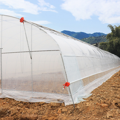 Plastic Sheet Uv 200 Microns Single Span Greenhouse For Tropical Climate