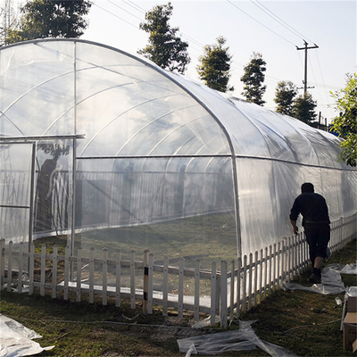 Single Span Tunnel Growing Agricultural Sun Master Plastic Film Greenhouse