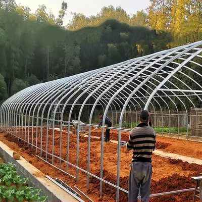 Plastic Film High Tunnel Single Span Greenhouse Steel Frame 9x30m