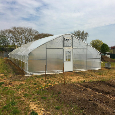 Plastic Film High Tunnel Single Span Greenhouse Steel Frame 9x30m