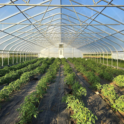 Plastic Film High Tunnel Single Span Greenhouse Steel Frame 9x30m