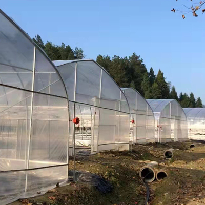 200 Micron Greenhouse Plastic / Pep Film Single Span Solar Tunnel Plastic Greenhouse