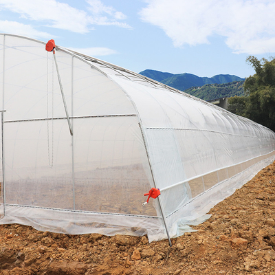 Agricultural Plastic Film Covering Shed Single Span 8m Width Polyethylene Film Greenhouse