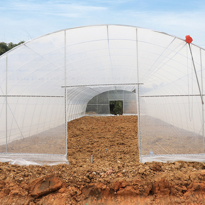 Tropical Single Span Metal Frame Greenhouse Plastic Shed High Tunnel Transparent