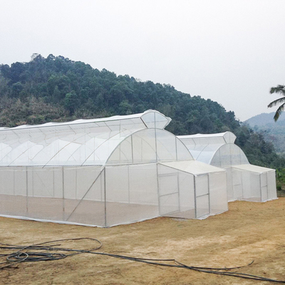 Agriculture Polyethylene Film Tunnel Greenhouse For Seedlings Vegetables