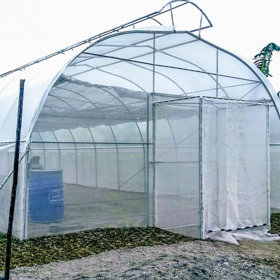 Polyethylene Film Tunnel Greenhouse For Seedlings Vegetables