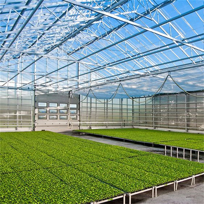 Commercial Glass Multi Span Greenhouse Agricultural Plants Cultivation