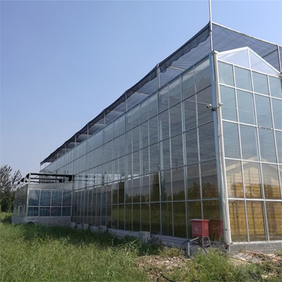 Commercial Glass Multi Span Greenhouse Agricultural Plants Cultivation