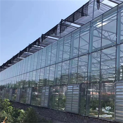 Multi Span Venlo Glass Greenhouse With Seedbed Hydroponic For Tomato Strawberry