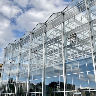 Tunnel Venlo Glass Greenhouse Fully Automatic Climate Control