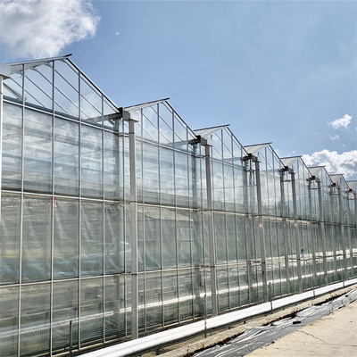 Chinese Agriculture Tempered Glass Greenhouse Venlo Type Galvanized Commercial