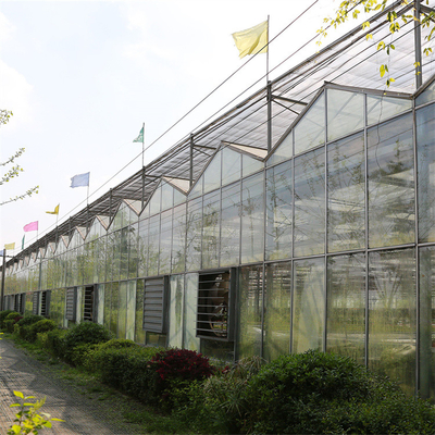 Tunnel Venlo Glass Greenhouse Fully Automatic Climate Control