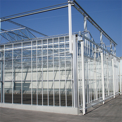 Chinese Agriculture Tempered Glass Greenhouse Venlo Type Galvanized Commercial
