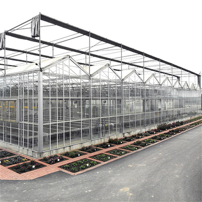 Agriculture Flower Greenhouse Glass Industrial Outdoor Multispan Glass Professional Dutch Greenhouse For Flower Planting