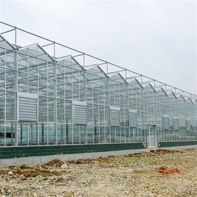 Chinese Agriculture Tempered Glass Greenhouse Venlo Type Galvanized Commercial