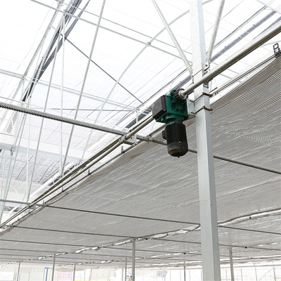 Chinese Agriculture Tempered Glass Greenhouse Venlo Type Galvanized Commercial