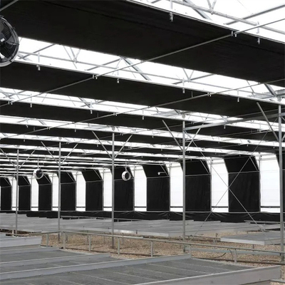 Mushroom Multispan Curtain Automatic Blackout Greenhouse Blinds Gutter Connected